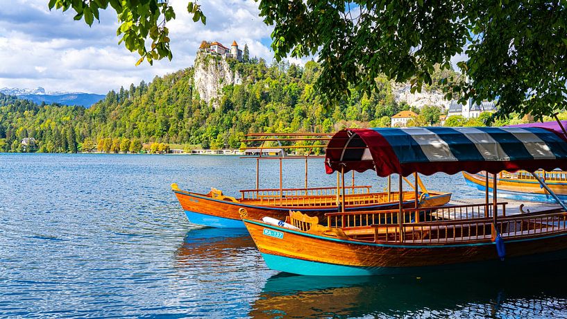 Traditionelles Boot auf dem Bleder See, Slowenien von Jessica Lokker