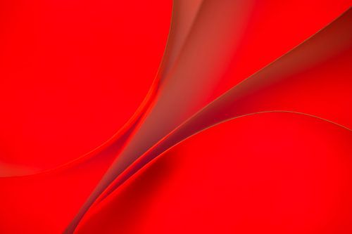 Formes et couleurs 9 - Macrophotographie expérimentale