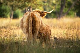 Mutter und Tochter von Carlijn Steenbakkers