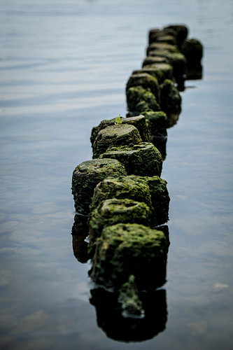 Posts in the water
