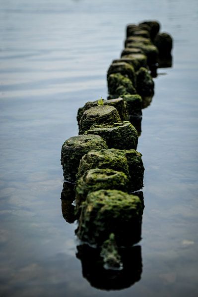 Posts in the water by Johan van Esch