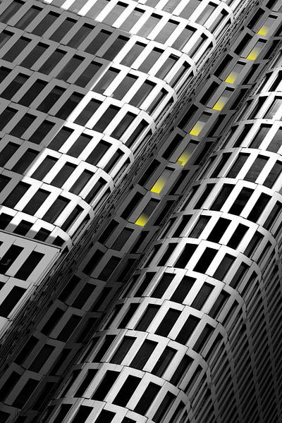 Eight in a Row by Anita Martin, AnnaPileaFotografie