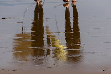 Weerspiegeling van surfers