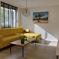 Photo de nos clients: Un chêne vigoureux sur un banc de sable par Lisette Rijkers, sur ArtFrame