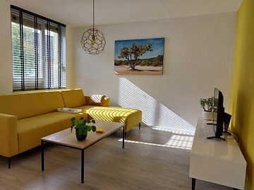 Photo de nos clients: Un chêne vigoureux sur un banc de sable