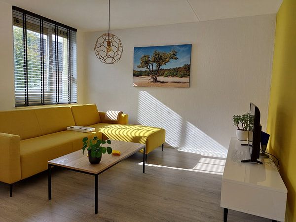 Un chêne vigoureux sur un banc de sable