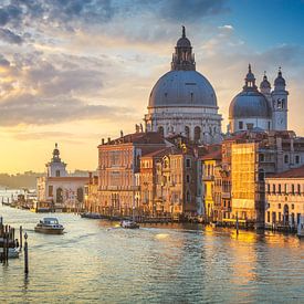 Grand canal en Santa Maria della Salute. Venetië van Stefano Orazzini