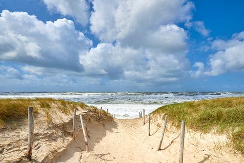 Entrée de plage dans la mer du Nord sauvage et ondulée