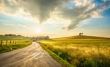 Landschap bij zonsondergang in de Maremma. Bibbona, Toscane van Stefano Orazzini