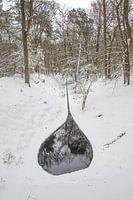 Spreng in de sneeuw