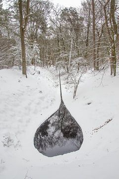 Spreng in de sneeuw van Hans Monasso