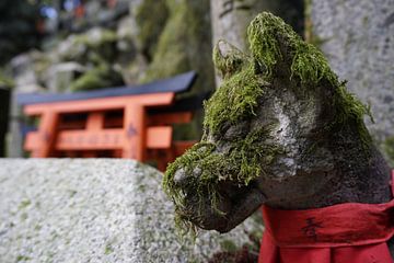 Beeld van vos op de Inari berg in Kyoto, Japan van Annemarie Arensen