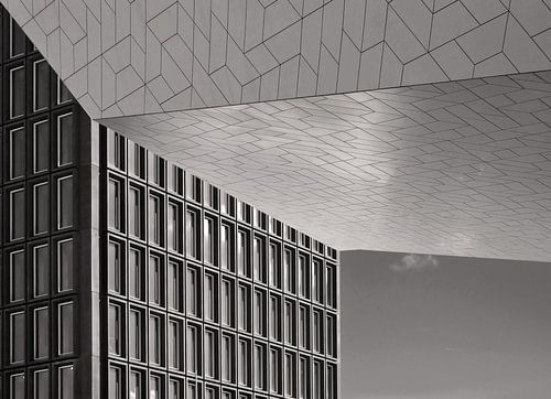 A'DAM Tower and Eye Filminstitute b&w