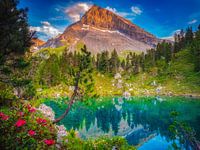 ALPENPARADIES
