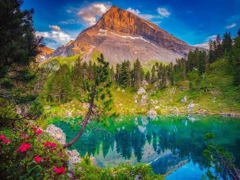 ALPENPARADIES von Simon Schuhmacher