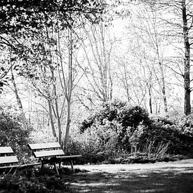 Artistic shot of benches in a park von Maarten Langenhuijsen