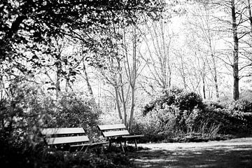 Artistic shot of benches in a park sur Maarten Langenhuijsen