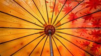 asiatischer Schirm