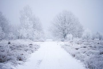 bosweg in de winter van Karijn | Fine art Natuur en Reis Fotografie