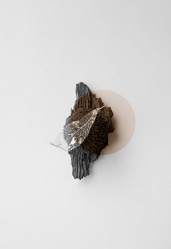 Die neunundneunzigste Sammlung