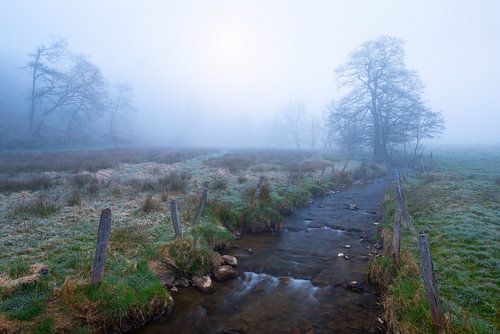 Een mistige ochtend in de Belgsche Ardennen. Met het beekje de Warchenne in de voorgrond.