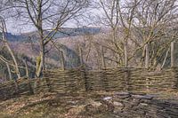 Delicious nature walk in the Ardennes
