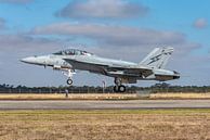 RAAF Boeing F/A-18F Super Hornet, A44-207. van Jaap van den Berg thumbnail