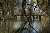 Bridge vieuw