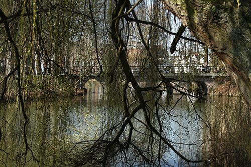 Bridge vieuw