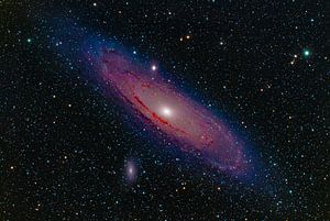 Universum