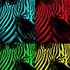 Zebra popart van Dietjee FoTo
