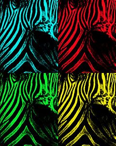 Zebra popart