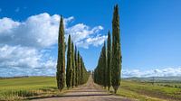 Agriturismo Poggio Covili - Toscane - Italië - Panorama van Teun Ruijters thumbnail