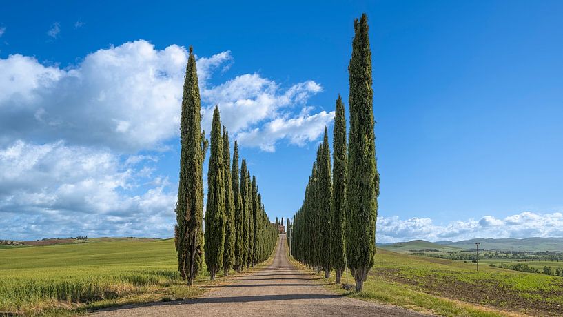 Agriturismo Poggio Covili - Toscane - Italië - Panorama van Teun Ruijters