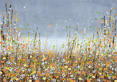 Blumenfeld orange, grau, blau