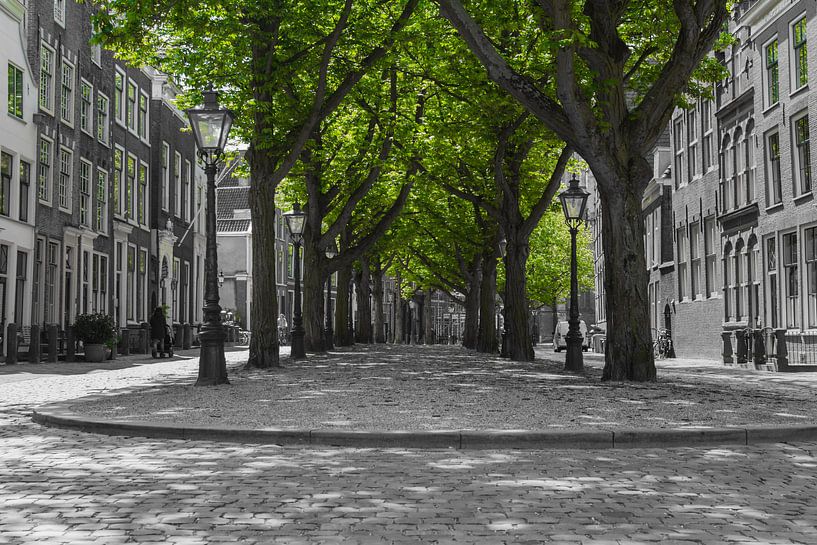 De groene stad by Patrick Herzberg