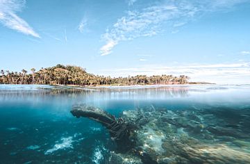 Shipwreck, Palawan, Philipinnes