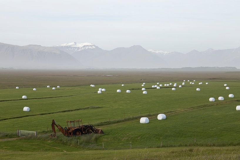 IJslands landschap van Ewan Mol