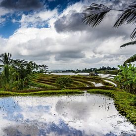 Spiegeling in de Jatiluwih rijstvelden Bali Indonesië van Juliette Laurant