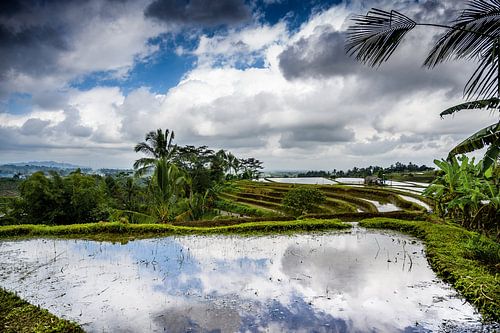 Spiegeling in de Jatiluwih rijstvelden Bali Indonesië