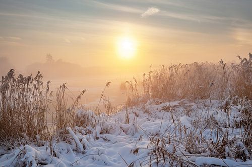 Winter in the Alblasserwaard