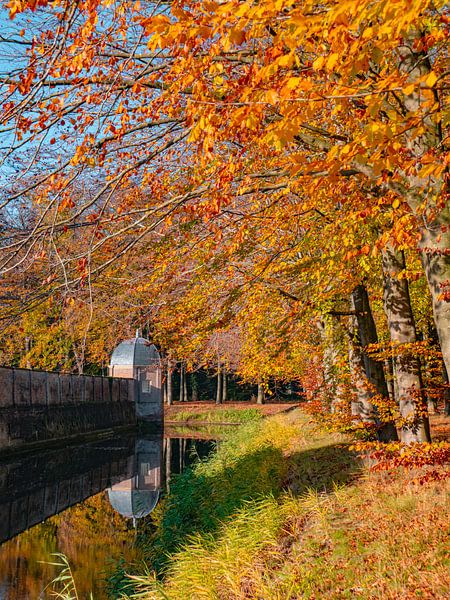 château d'automne par snippefotografie