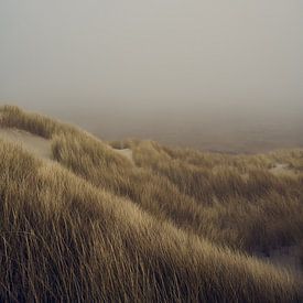 Terschelling - Kaapsduin mist van Bart Lindenhovius