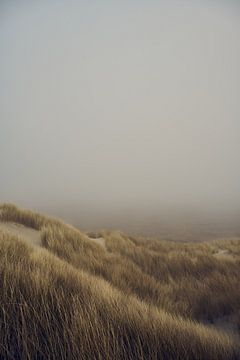 Terschelling - Brouillard de Kaapsduin sur Bart Lindenhovius