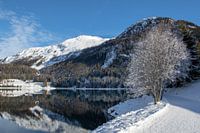 Lake Davos