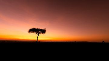 Zonsopkomst in Afrika. van Gunter Nuyts