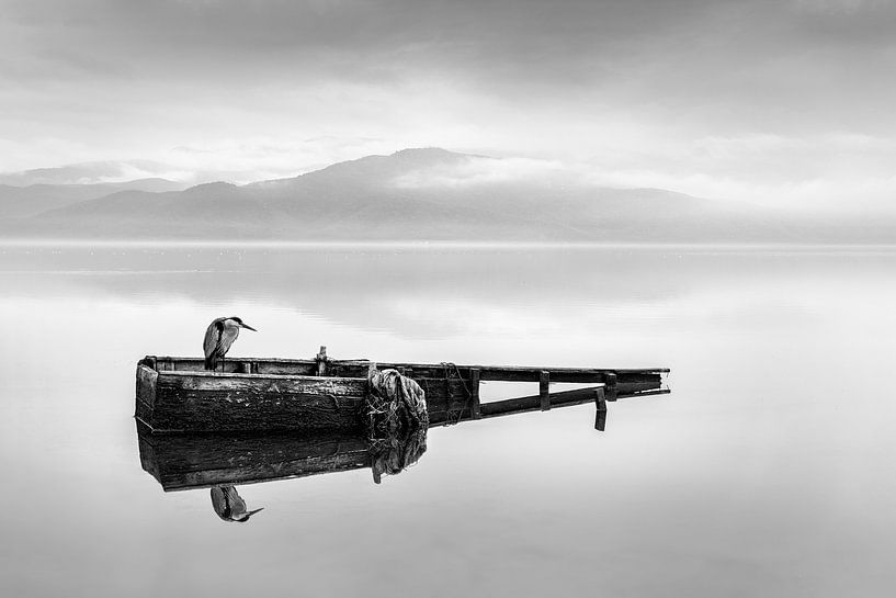 Reiher auf einem Boot II von George Digalakis