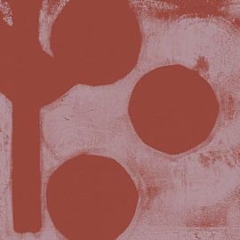 Rosa Terraformen. von Dina Dankers