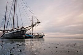 Hoog en droog 1 sur Albert Wester Terschelling Photography