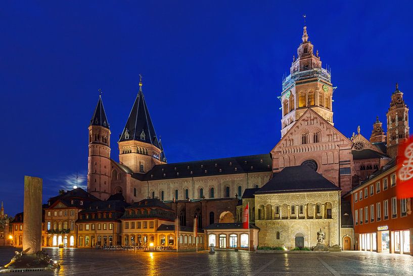 Der Mainzer Dom in Rheinland Pfalz von Roland Brack